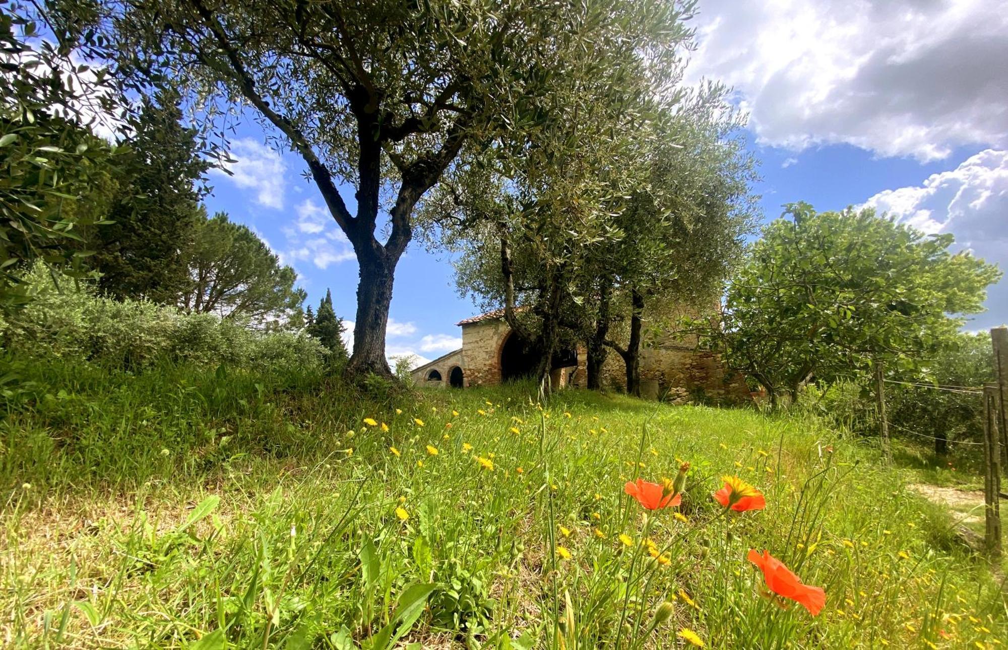 La Tonnaia Appartement Lari Buitenkant foto